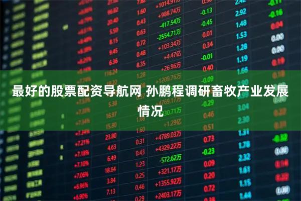 最好的股票配资导航网 孙鹏程调研畜牧产业发展情况