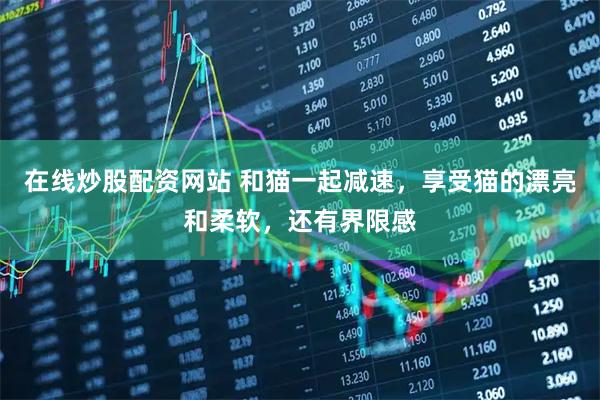 在线炒股配资网站 和猫一起减速，享受猫的漂亮和柔软，还有界限感